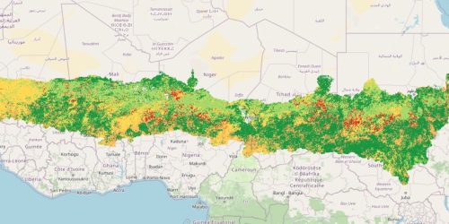 Land Productivity Dynamics