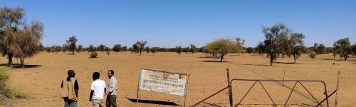 Mission de recherche au Senegal (Férlo)