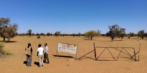 Mission de recherche au Senegal (Férlo)