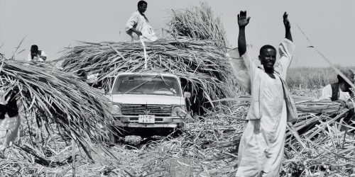 Il Sudan visto da Marina Bertoncin – 2014