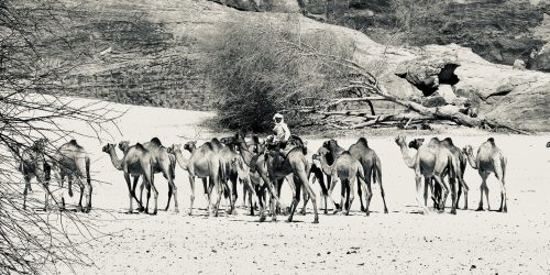 Ouadai, Ennedi e Borku (Ciad), visti da Marina Bertoncin nel 2011