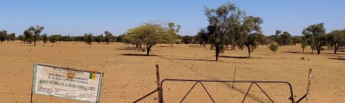 Publication: « The Great Green Wall: political ecology of a phantom project »