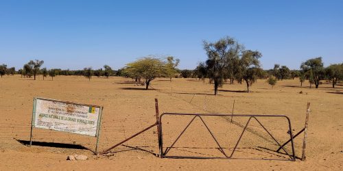 Publication: « The Great Green Wall: political ecology of a phantom project »