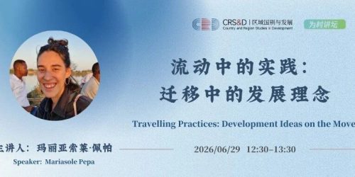 Travelling Practices: Development Ideas on the Move